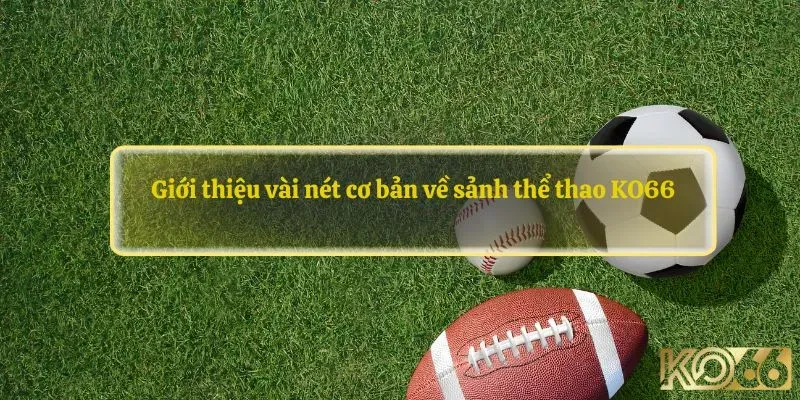 Giới thiệu vài nét cơ bản về sảnh thể thao KO66