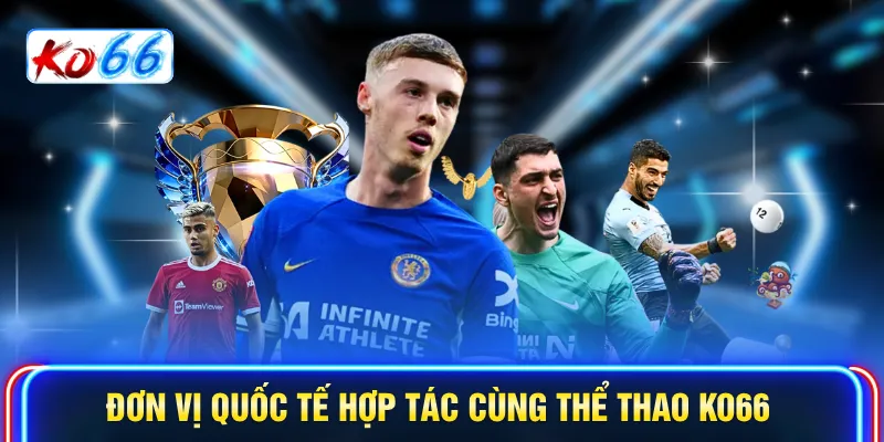 Đơn vị quốc tế hợp tác cùng Thể thao KO66 